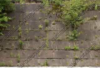 wall concrete overgrown